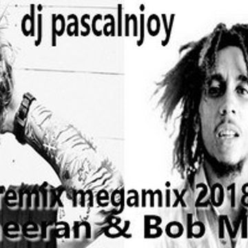 dj pascalnjoy bob Marley & Ed Sheeran remix megamix 2018