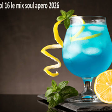 dj pascalnjoy vol 16 le mix soul apero 2026