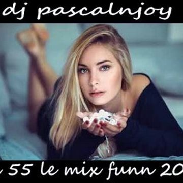 dj pascalnjoy vol 55 le mix funn 2019