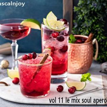 dj pascalnjoy vol 11 le mix soul apero 2025