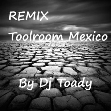 Toolroom mexico Mix