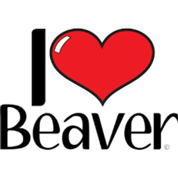 BEAVER BUMPERS