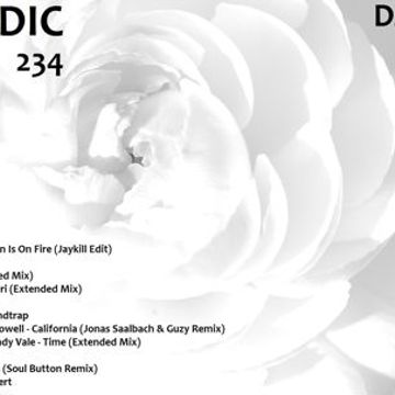 Melodic Nights Vol 234 (2022)