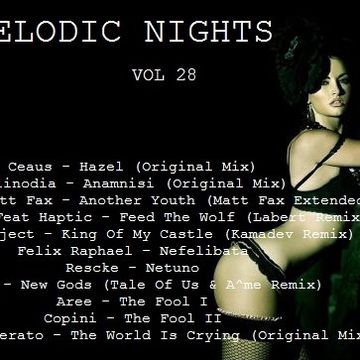 Melodic Nights Vol 28 (2021)