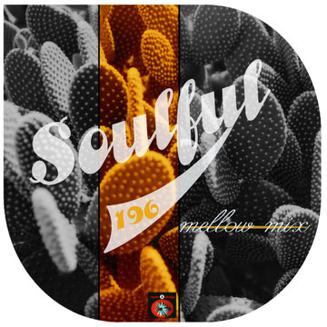 Soulful 196 ❋ mellow mix