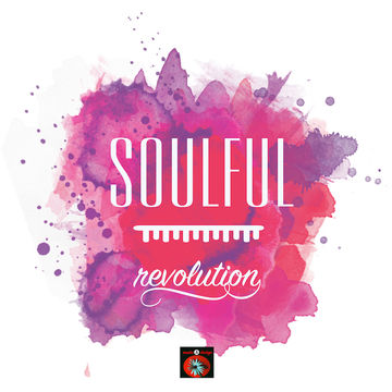 Soulful Revolution 