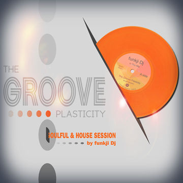 THE GROOVE PLASTICITY 