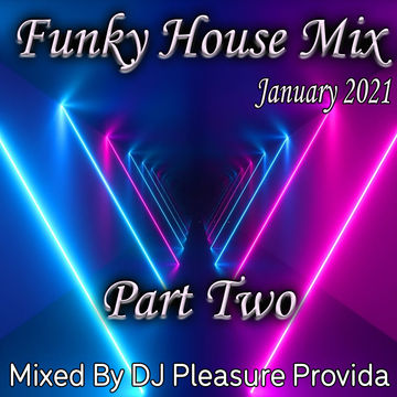 Pleasure Provida - Funky HouseMix January 2021 Part two