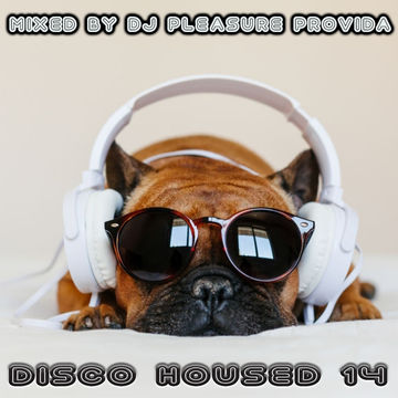 Pleasure Provida - Disco Housed Vol.14