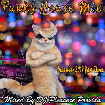 Pleasure Provida - Funky House Mix December 2019 Part Three