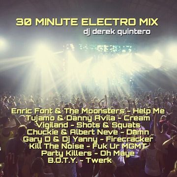 30 minute Electro Mix