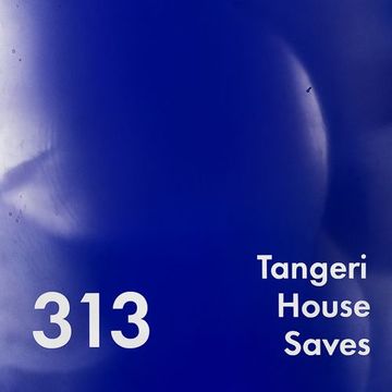 House Saves    313