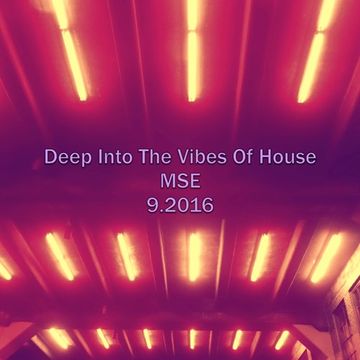 Deep Into The Vibes Of House 