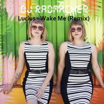 Wake Me (Remix)