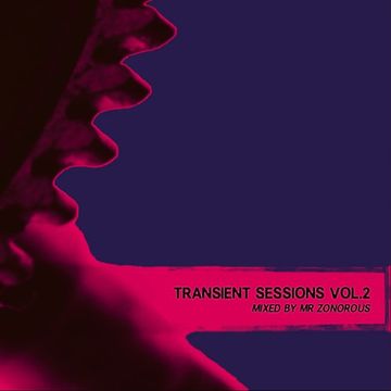 Transient Sessions Vol.2