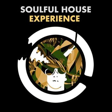 Soulful House Experience Vol.8