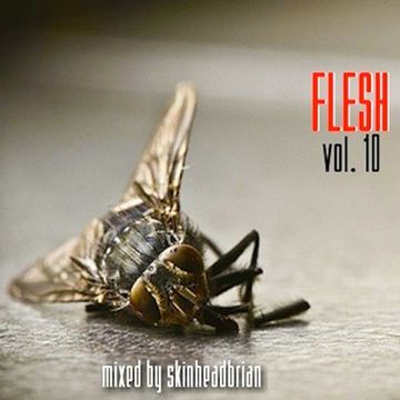 FLESH   vol. 10