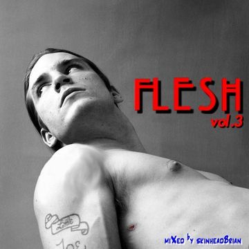 FLESH vol. 3