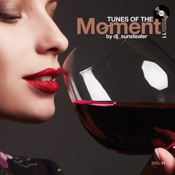 Tunes Of The Moment (Vol. 11)