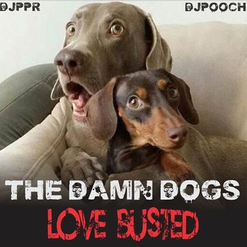 THE DAMN DOGS: LOVE BUSTED  feat. DJPPR & DJPOOCH