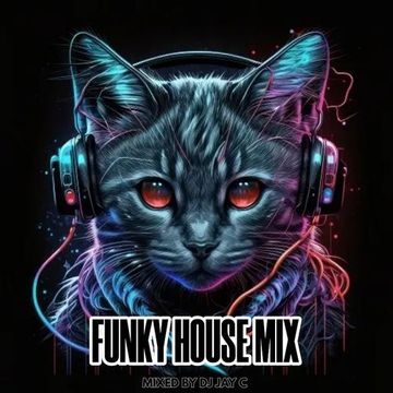 Funky House Mix 9 *includes bonus mix*