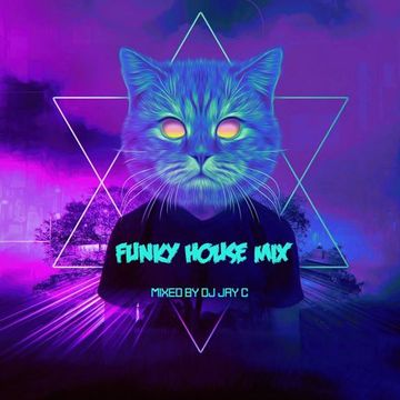 Funky House Mix 2 - Hits & Remixes