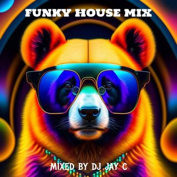 Funky House Mix 8