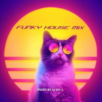 Funky House Mix - Hits & Remixes