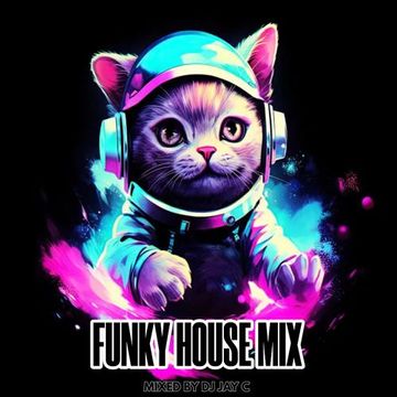 Funky House Mix 10