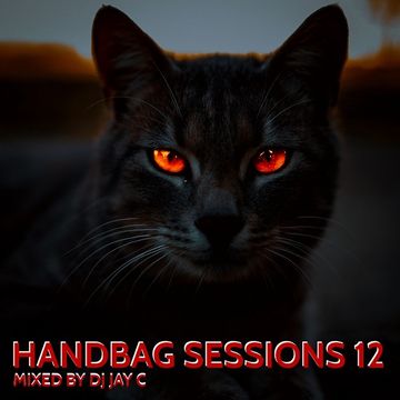 HANDBAG SESSIONS 12 -  JUNE 2021