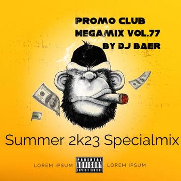 VA -  Promo Club Megamix Vol.77  (Summer 2k23 Specialmix by DJ Baer)