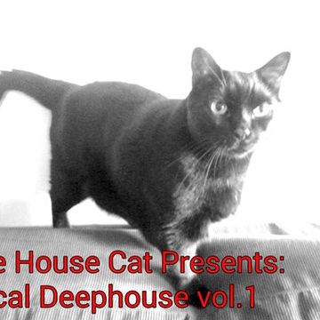 March62017vocaldeephousemix