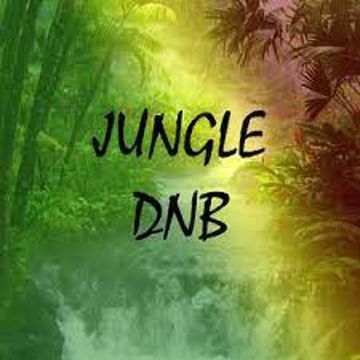 THE DARK SIDE OV JUNGLE DRUM & BASS VOL 4