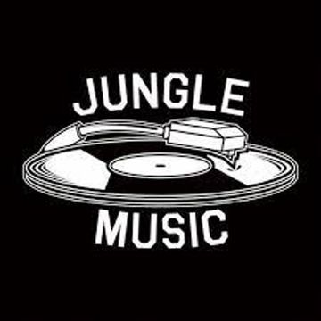 THE DARK SIDE OV JUNGLE DRUM & BASS VOL 3