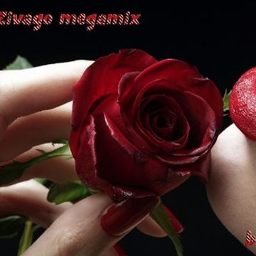 Mr.Zivago Megamix by STV