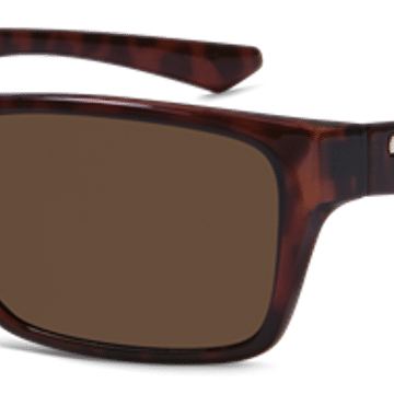 Polarized Reader Sunglasses