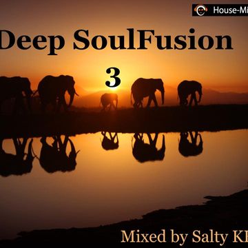 Deep SoulFusion V3