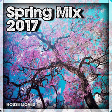 Spring Mix 2017