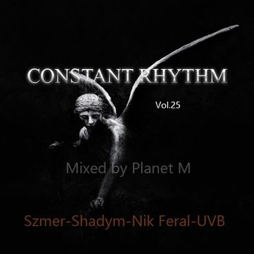 Constant Rhythm Vol.25