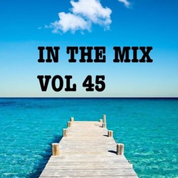 IN THE MIX VOL 45