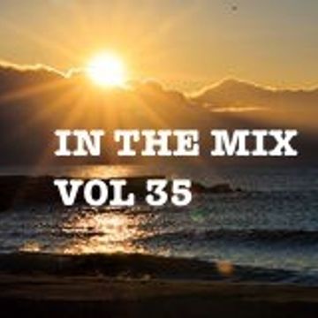 IN THE MIX VOL 35.