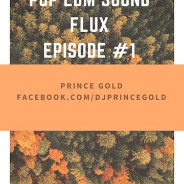 Pop edm sound flux Episode 1 by Dj Prince Gold