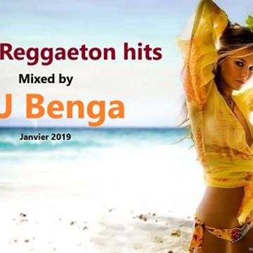 DJ Benga -  The Reggaton hits mix 2019