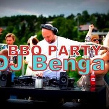 DJ Benga  BBQ Party  (5)