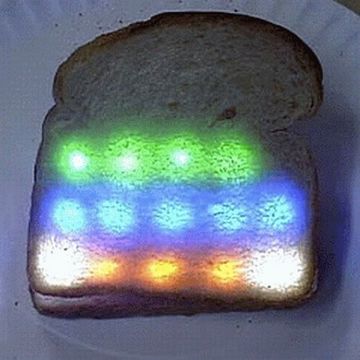 disco sandwich