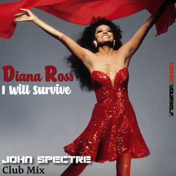 John Spectre Remix   I Will Survive