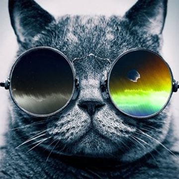 disco20