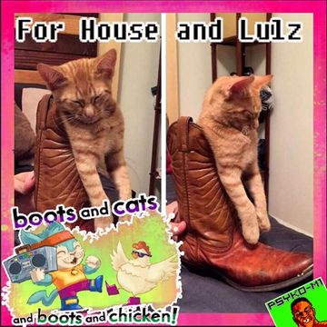 Psyko M1 For House and Lulz 08082017 "BOOTS N CATS N BOOTS N CHICKEN"