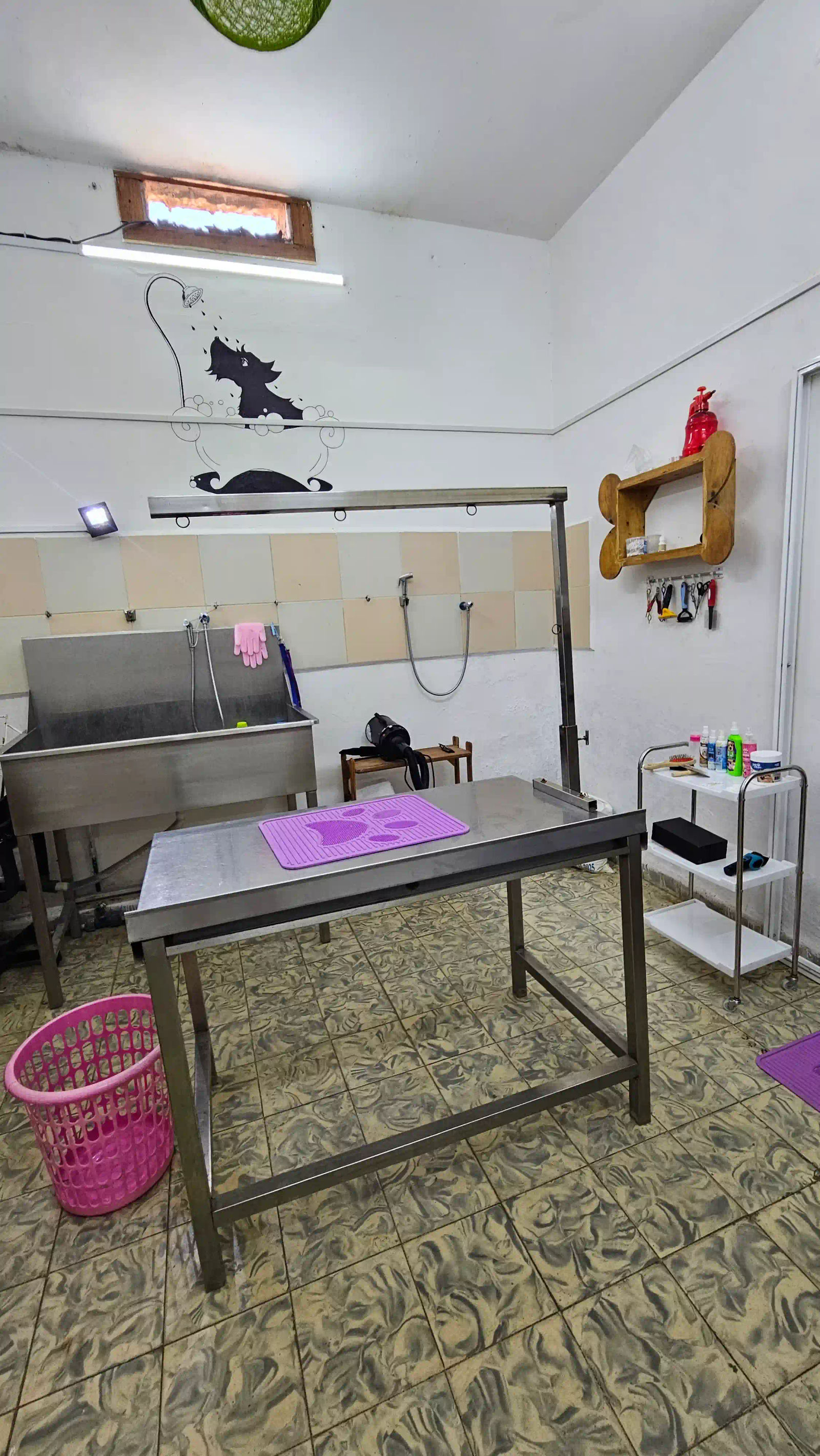 Servicio Integral de Estética Canina y Felina