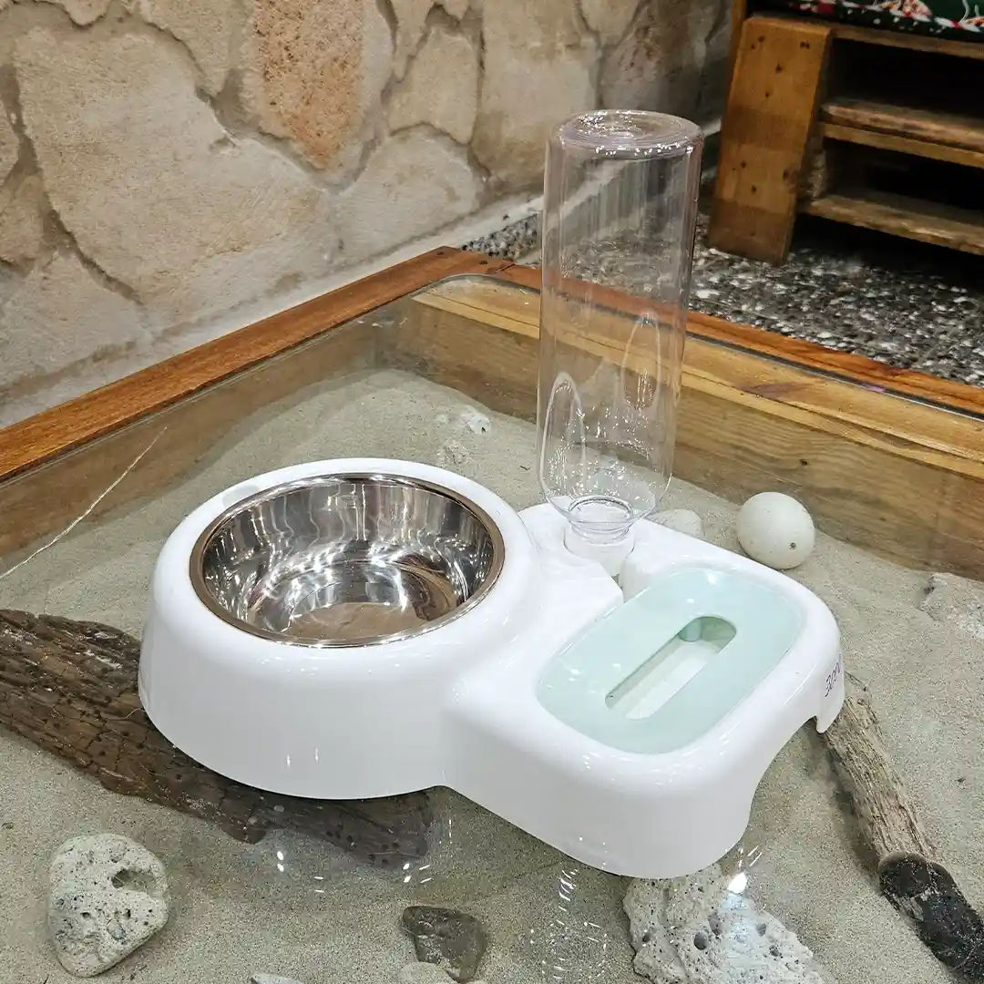 Plato con Bebedero Automático Integrado